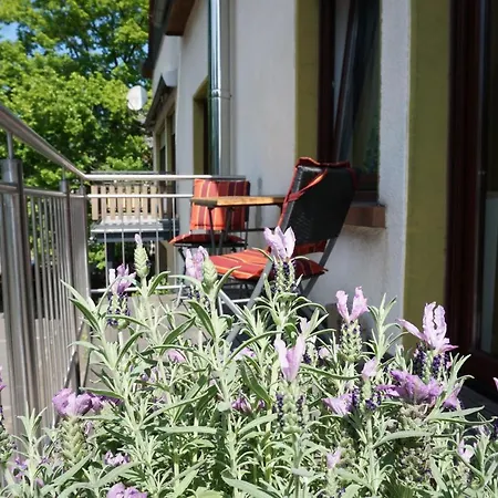 Ferienwohnung Familie Kirsten Piesport Exterior photo
